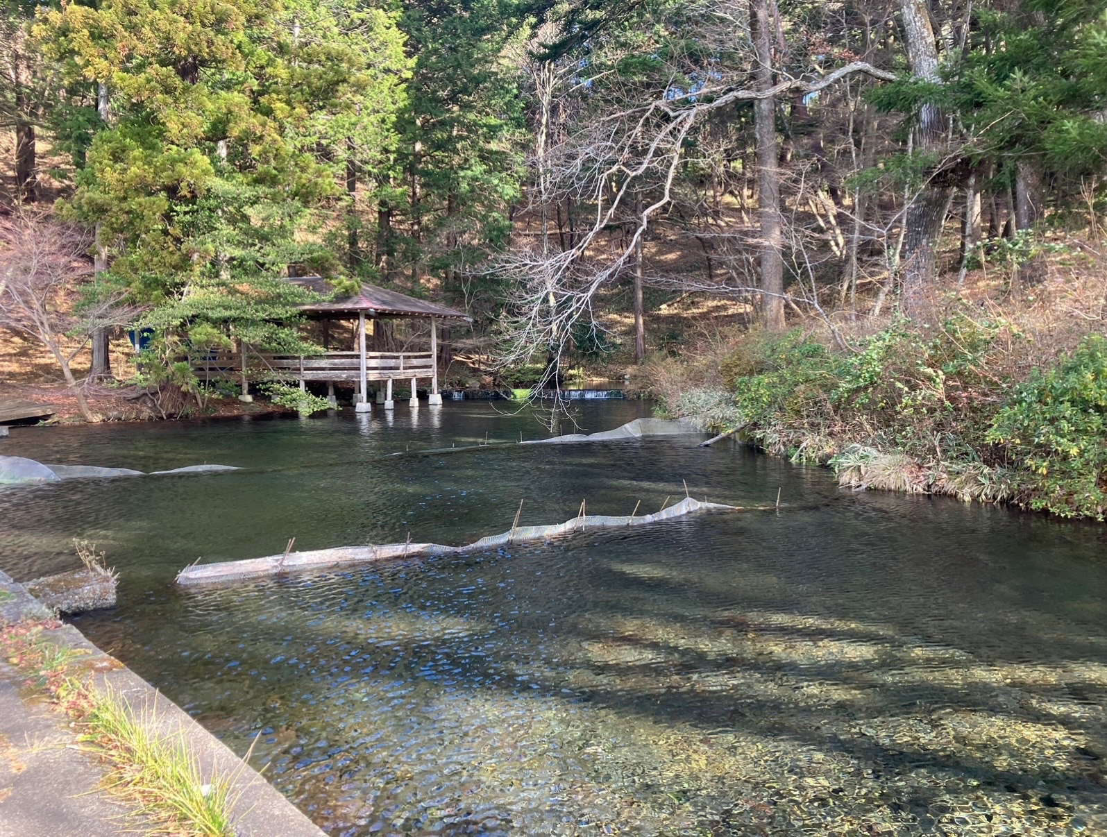 【山梨】大滝湧水の訪問報告 1