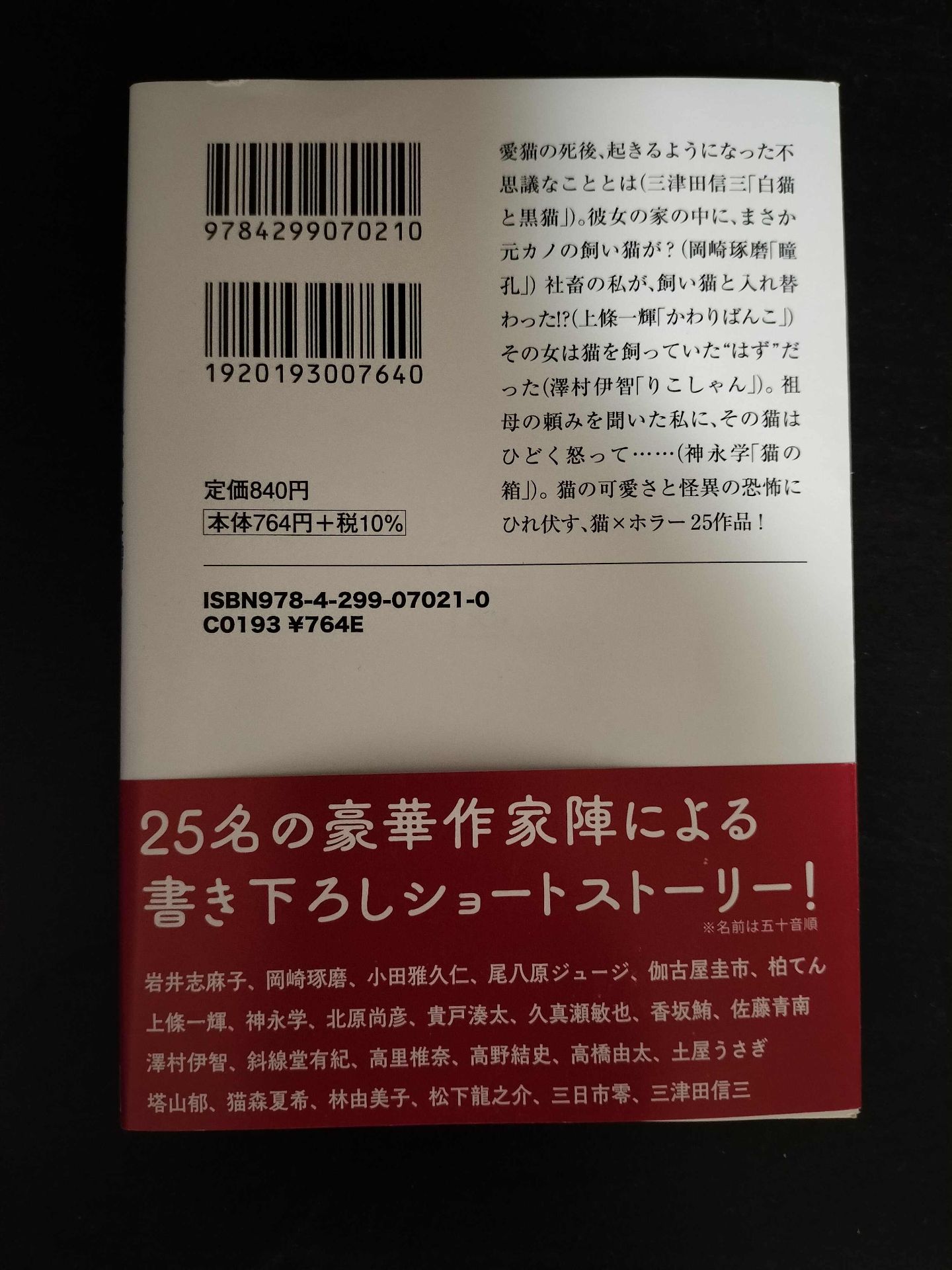 猫に蹂躙されたい人に送る25のショートホラー 3