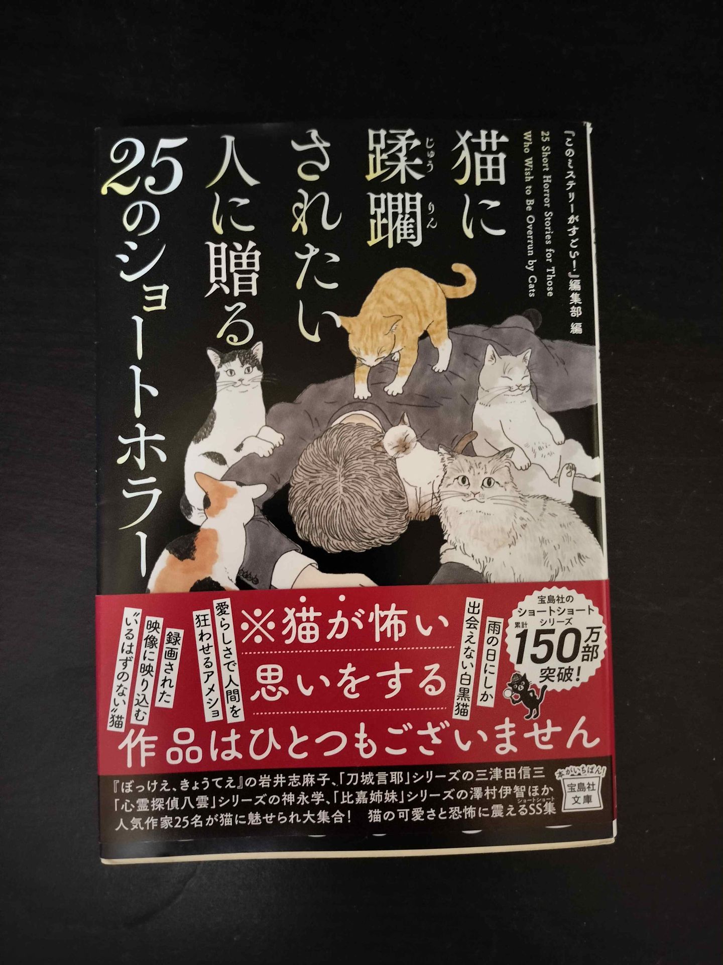 猫に蹂躙されたい人に送る25のショートホラー 2