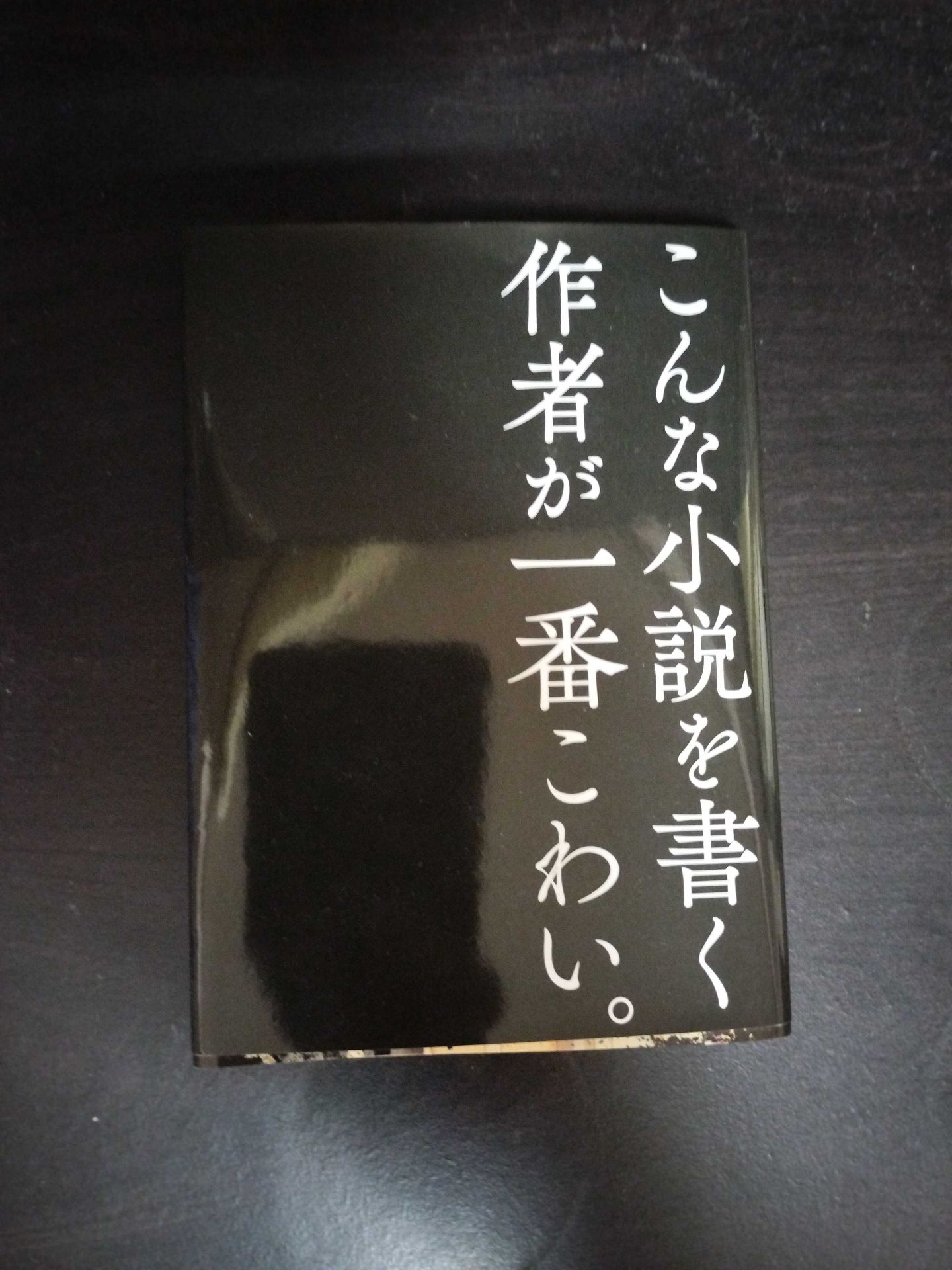 紗央里ちゃんの家  矢部嵩 3