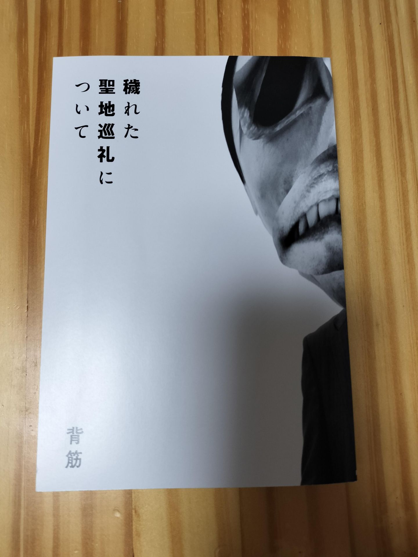 穢れた聖地巡礼について 背筋 3