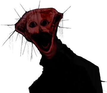 THE BOILED ONE PHENOMENON